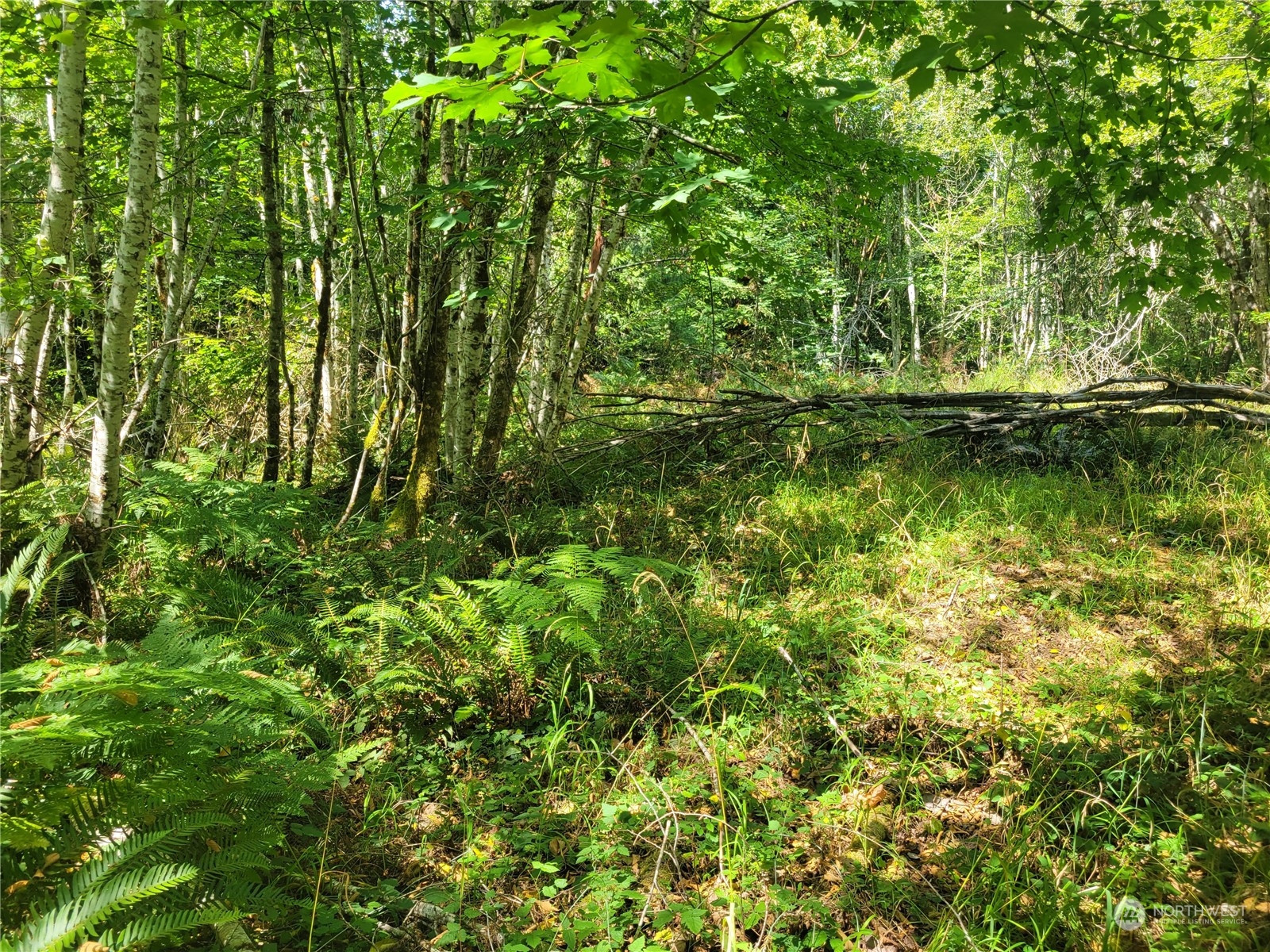 930 E Wilson Way , Grapeview, WA 98546