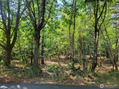 900 930 E Wilson Way , Grapeview, WA 98546