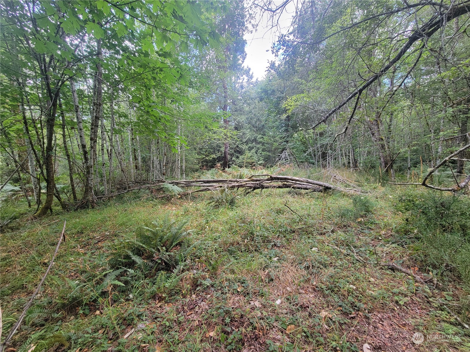 900 930 E Wilson Way , Grapeview, WA 98546
