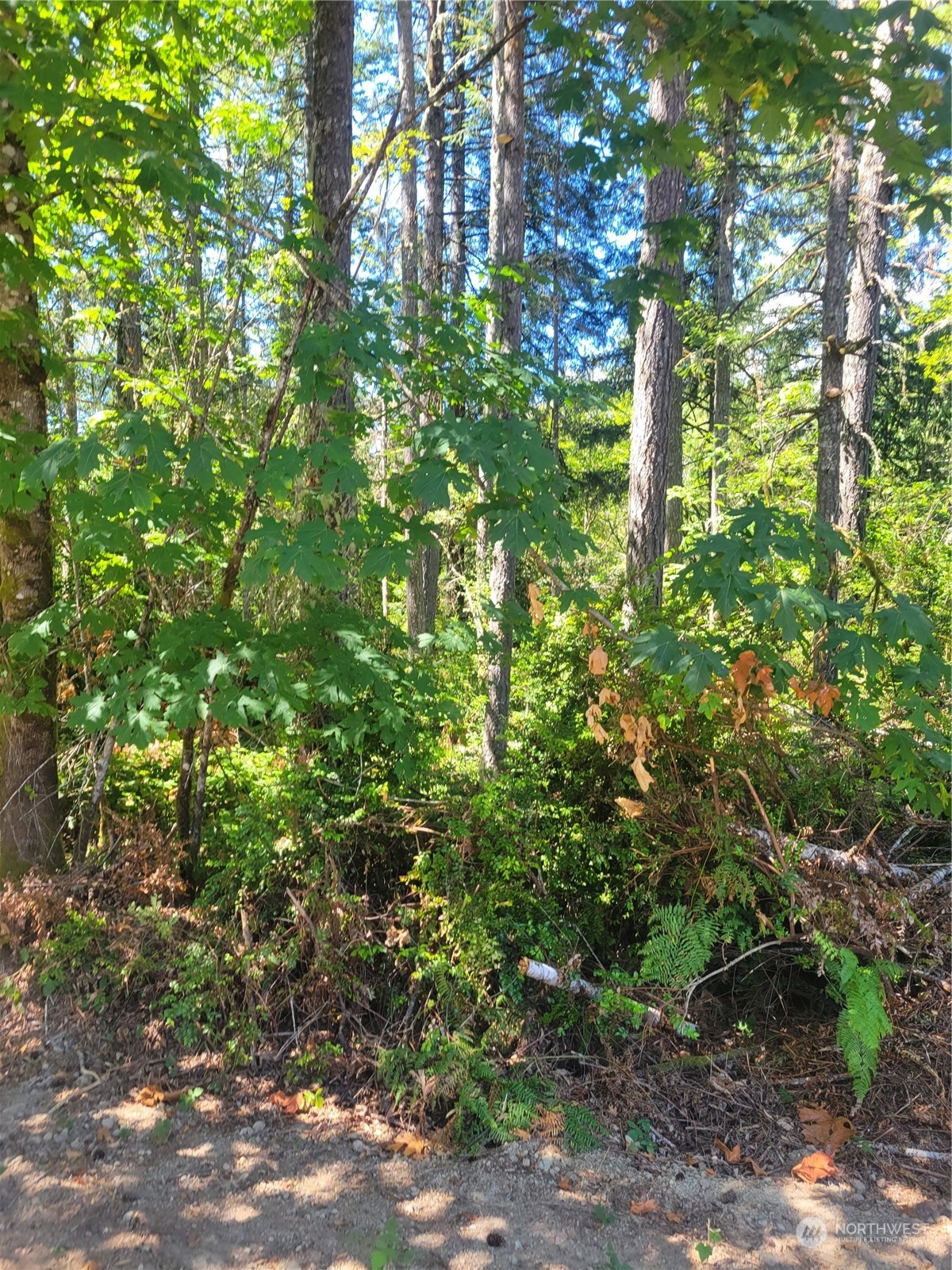 900 930 E Wilson Way , Grapeview, WA 98546