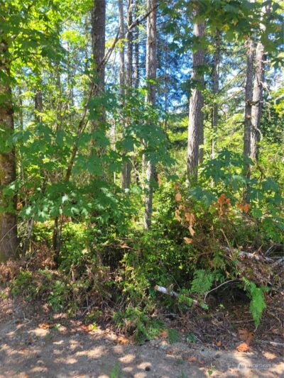 900 930 E Wilson Way , Grapeview, WA 98546 - Photo 13