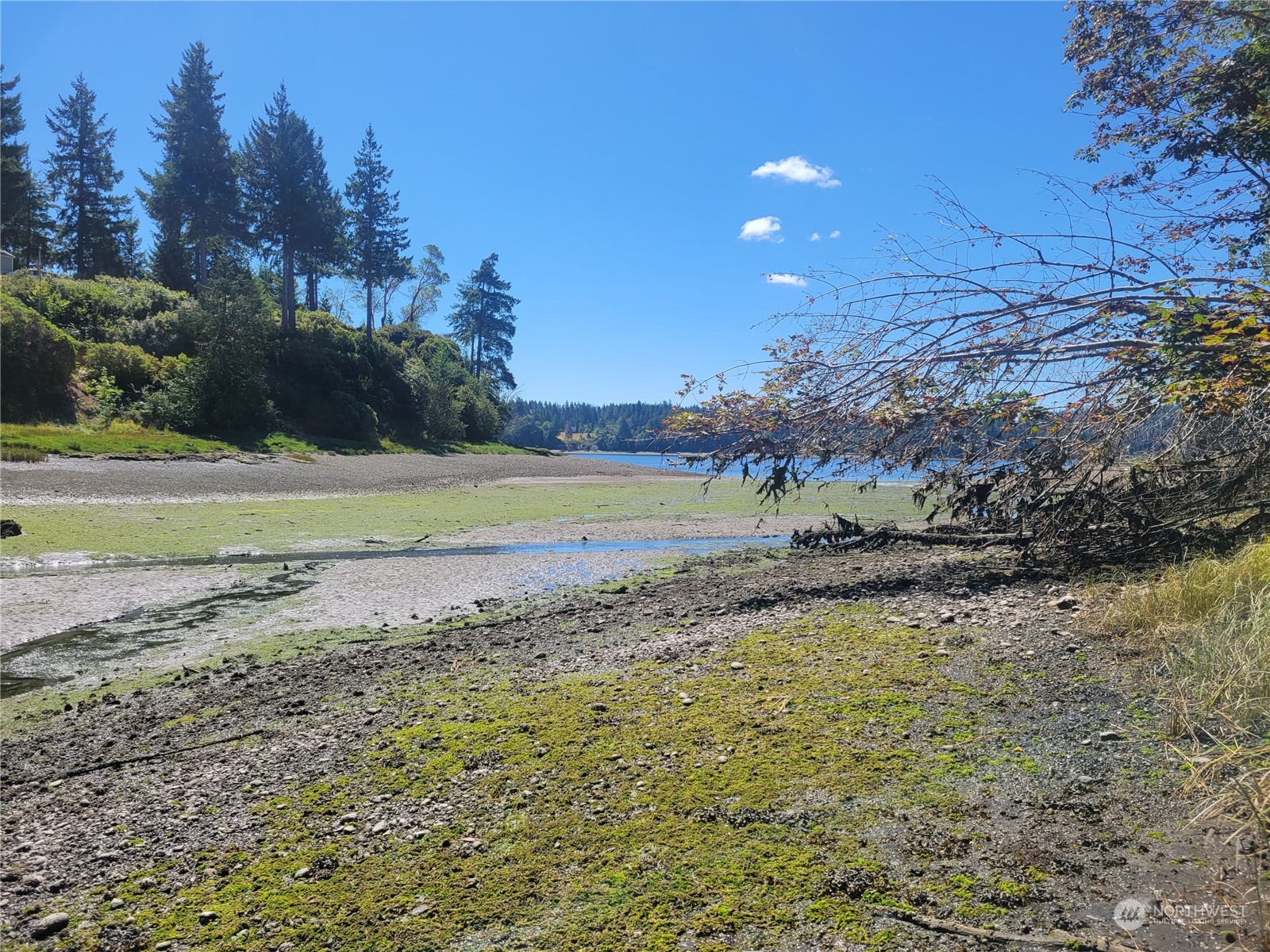900 930 E Wilson Way , Grapeview, WA 98546