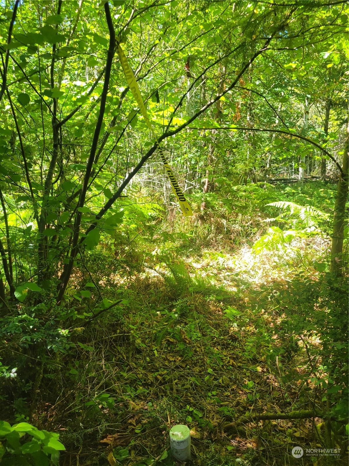 900 930 E Wilson Way , Grapeview, WA 98546
