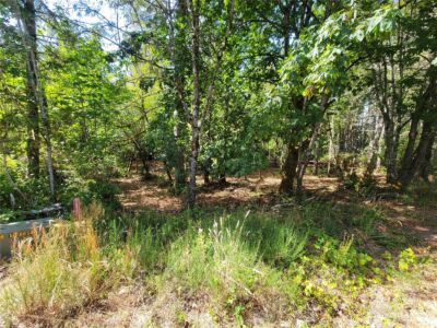 900 930 E Wilson Way , Grapeview, WA 98546 - Photo 24