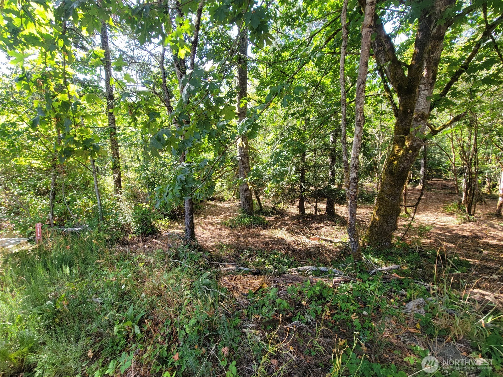 900 930 E Wilson Way , Grapeview, WA 98546