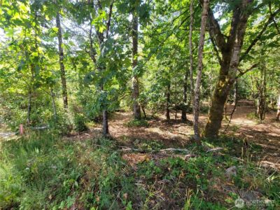 900 930 E Wilson Way , Grapeview, WA 98546 - Photo 25