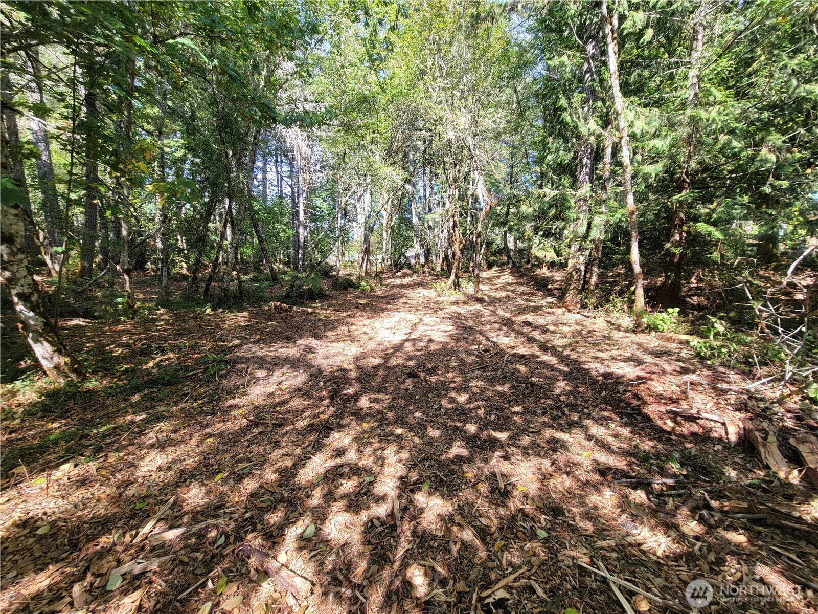 900 930 E Wilson Way , Grapeview, WA 98546