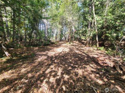 900 930 E Wilson Way , Grapeview, WA 98546 - Photo 27