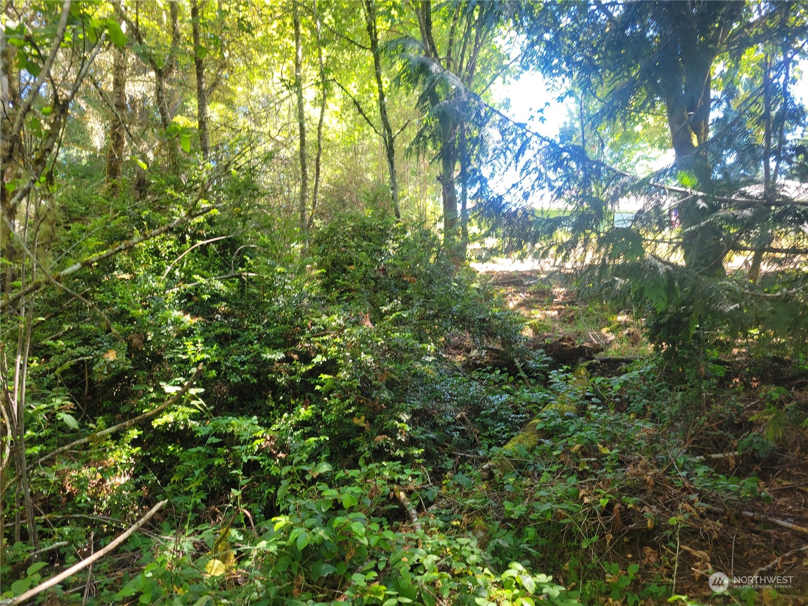 900 930 E Wilson Way , Grapeview, WA 98546