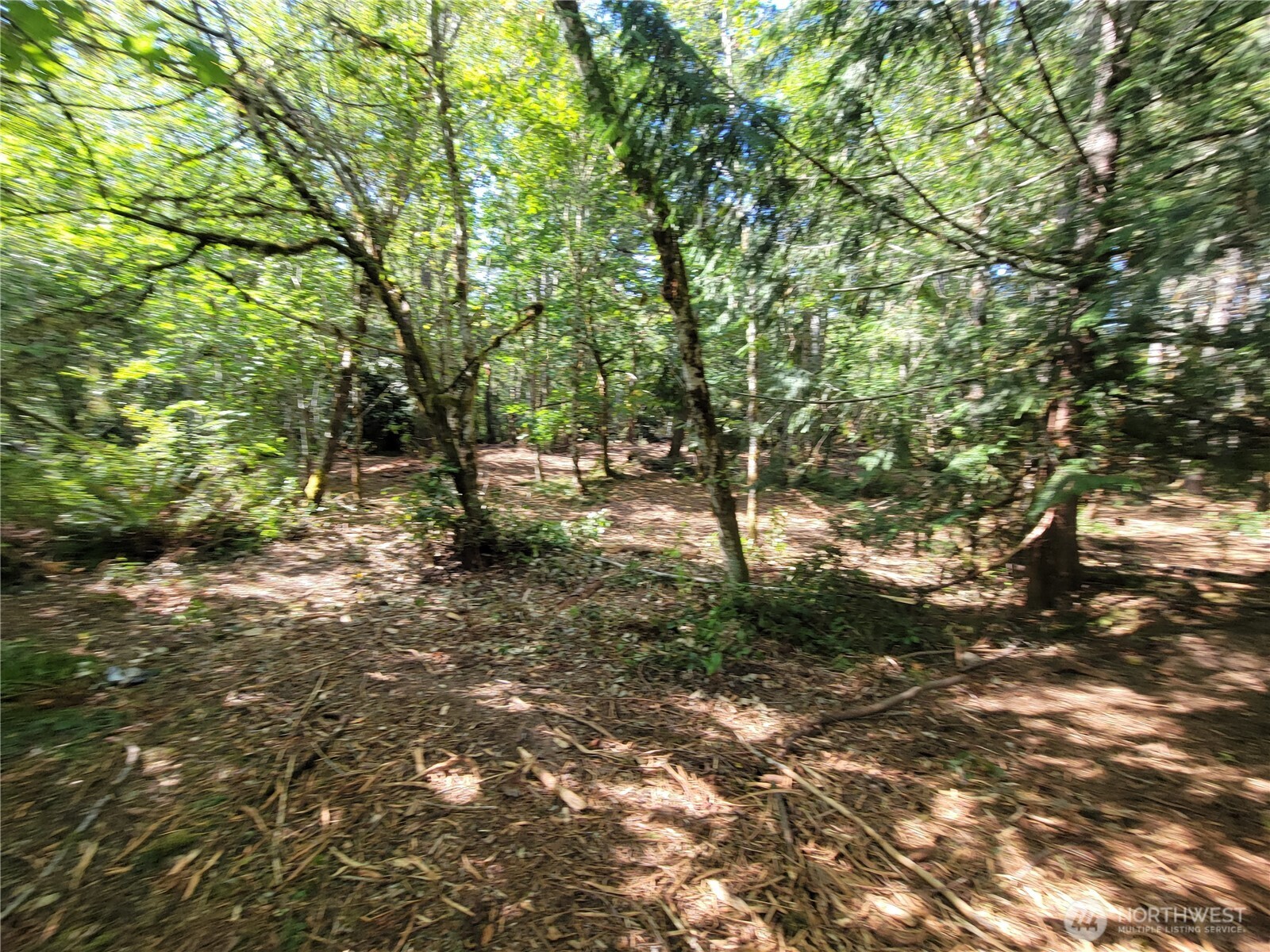 900 930 E Wilson Way , Grapeview, WA 98546