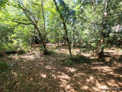 900 930 E Wilson Way , Grapeview, WA 98546 - Photo 8