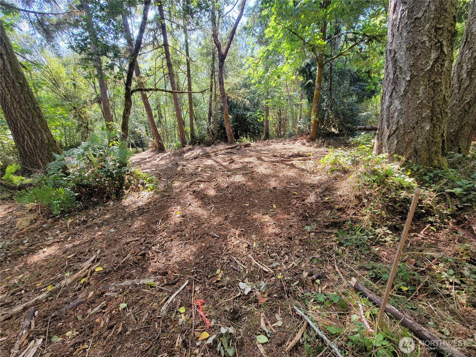 900 930 E Wilson Way , Grapeview, WA 98546