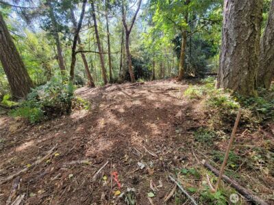900 930 E Wilson Way , Grapeview, WA 98546 - Photo 9