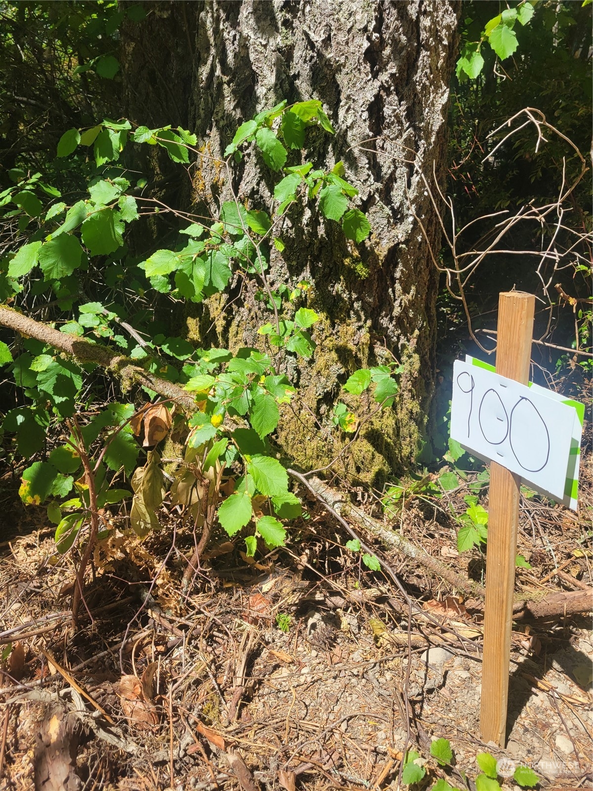 900 930 E Wilson Way , Grapeview, WA 98546