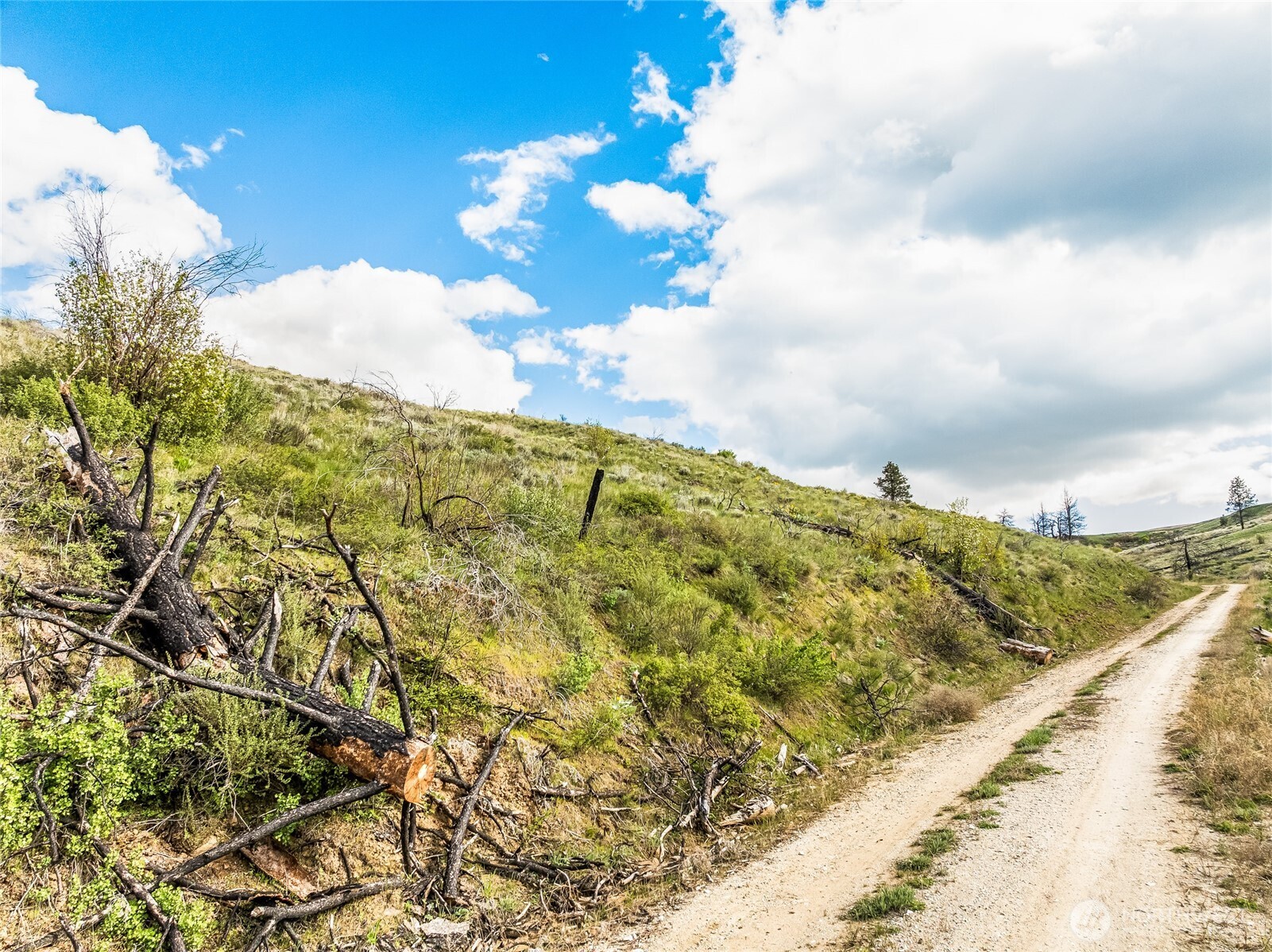 10 Lot 9 Chelan Hills Acres Rd , Orondo, WA 98843