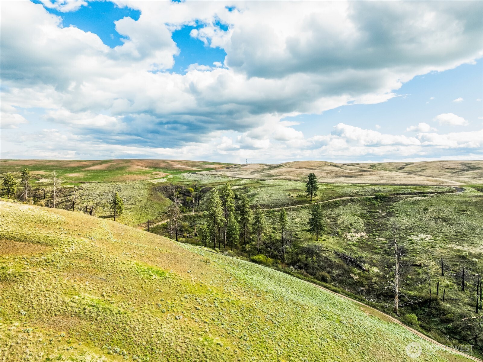 10 Lot 9 Chelan Hills Acres Rd , Orondo, WA 98843