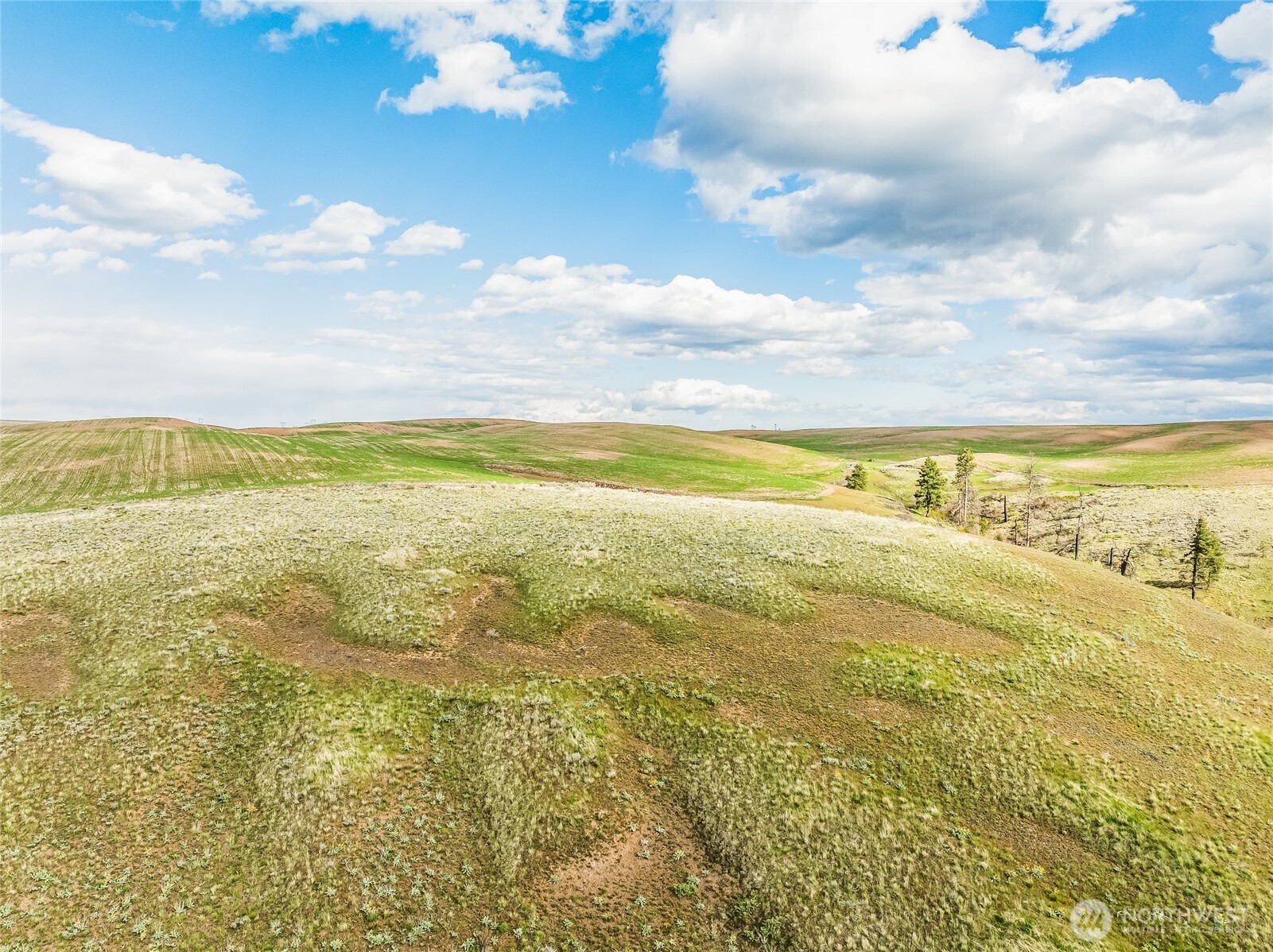 10 Lot 9 Chelan Hills Acres Rd , Orondo, WA 98843