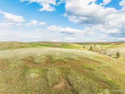 10 Lot 9 Chelan Hills Acres Rd , Orondo, WA 98843 - Photo 7
