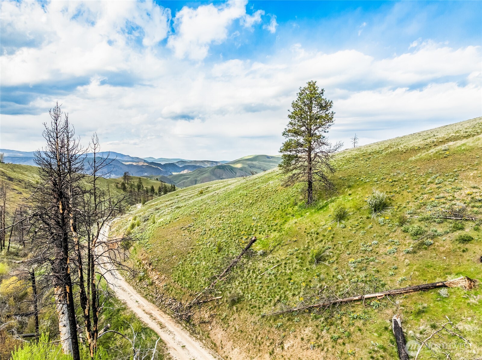 10 Lot 9 Chelan Hills Acres Rd , Orondo, WA 98843