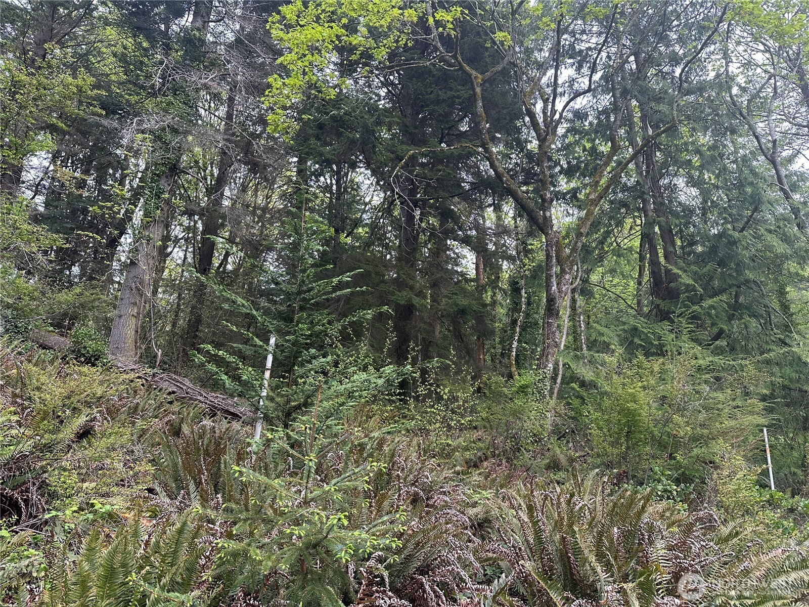 11 NE Shore Drive , Indianola, WA 98342