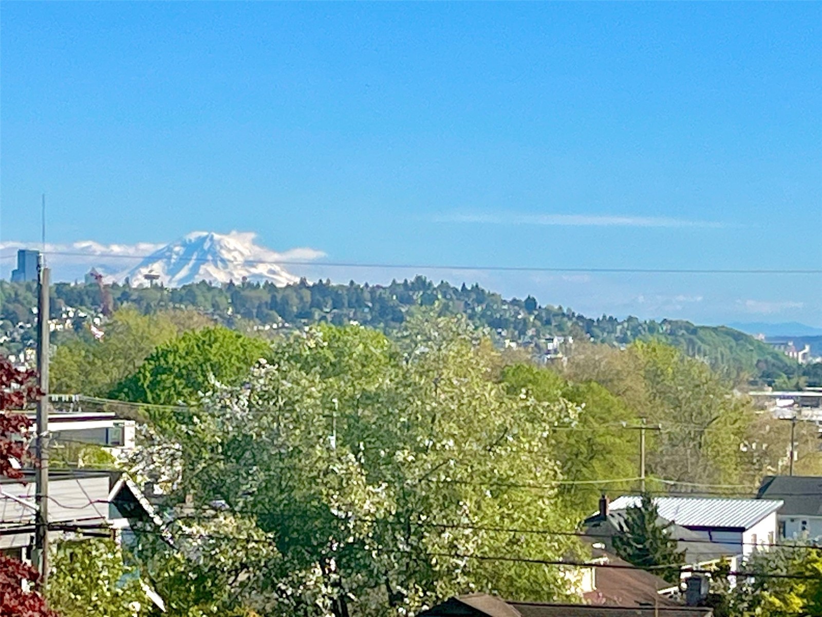 2821 NW 65th Street , Seattle, WA 98117