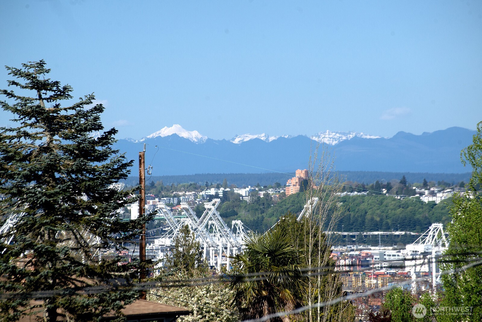 4060 39th Avenue SW, Seattle, WA 98116