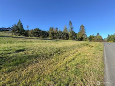 9999 Doe Run Road , Sequim, WA 98382 - Photo 17