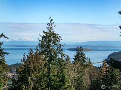 9999 Doe Run Road , Sequim, WA 98382 - Photo 2