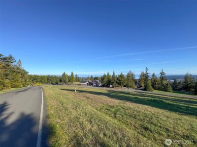 9999 Doe Run Road , Sequim, WA 98382 - Photo 27