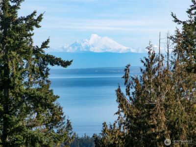 9999 Doe Run Road , Sequim, WA 98382 - Photo 3