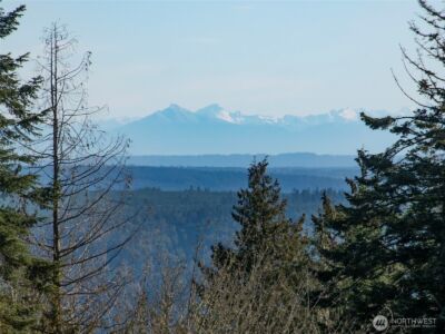 9999 Doe Run Road , Sequim, WA 98382 - Photo 32
