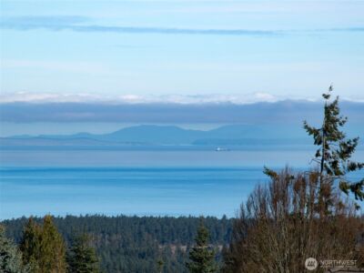 9999 Doe Run Road , Sequim, WA 98382 - Photo 6