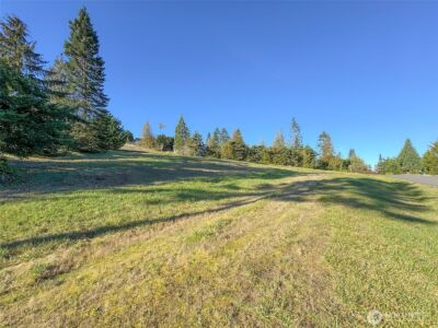 9999 Doe Run Road , Sequim, WA 98382 - Photo 7