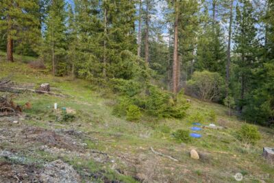 26 Coralbell (Lot 26) Lane , Roslyn, WA 98941 - Photo 8
