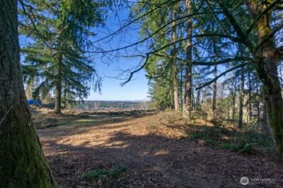 23705 144th Street E, Buckley, WA 98360