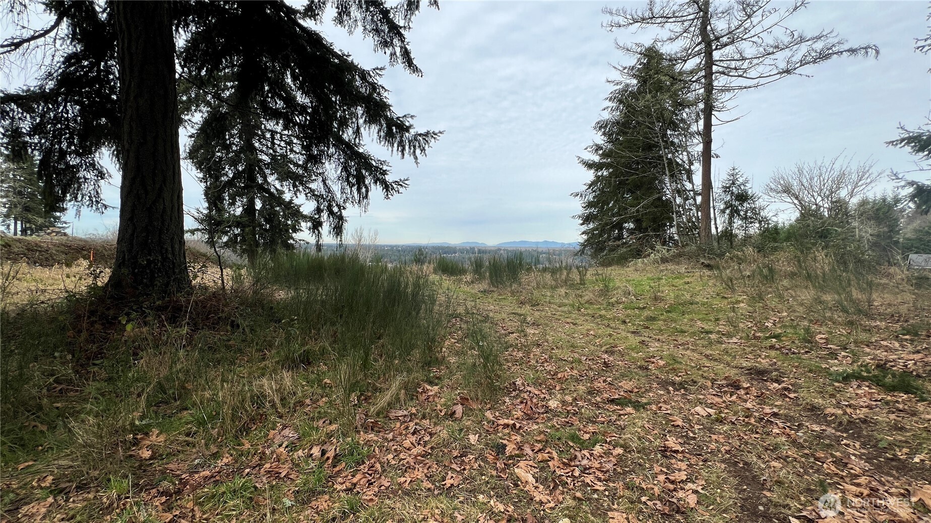 23705 144th Street E, Buckley, WA 98360