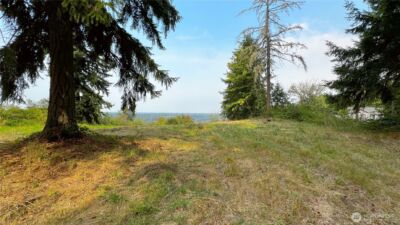 23705 144th Street E, Buckley, WA 98360 - Photo 24