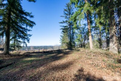 23705 144th Street E, Buckley, WA 98360 - Photo 3