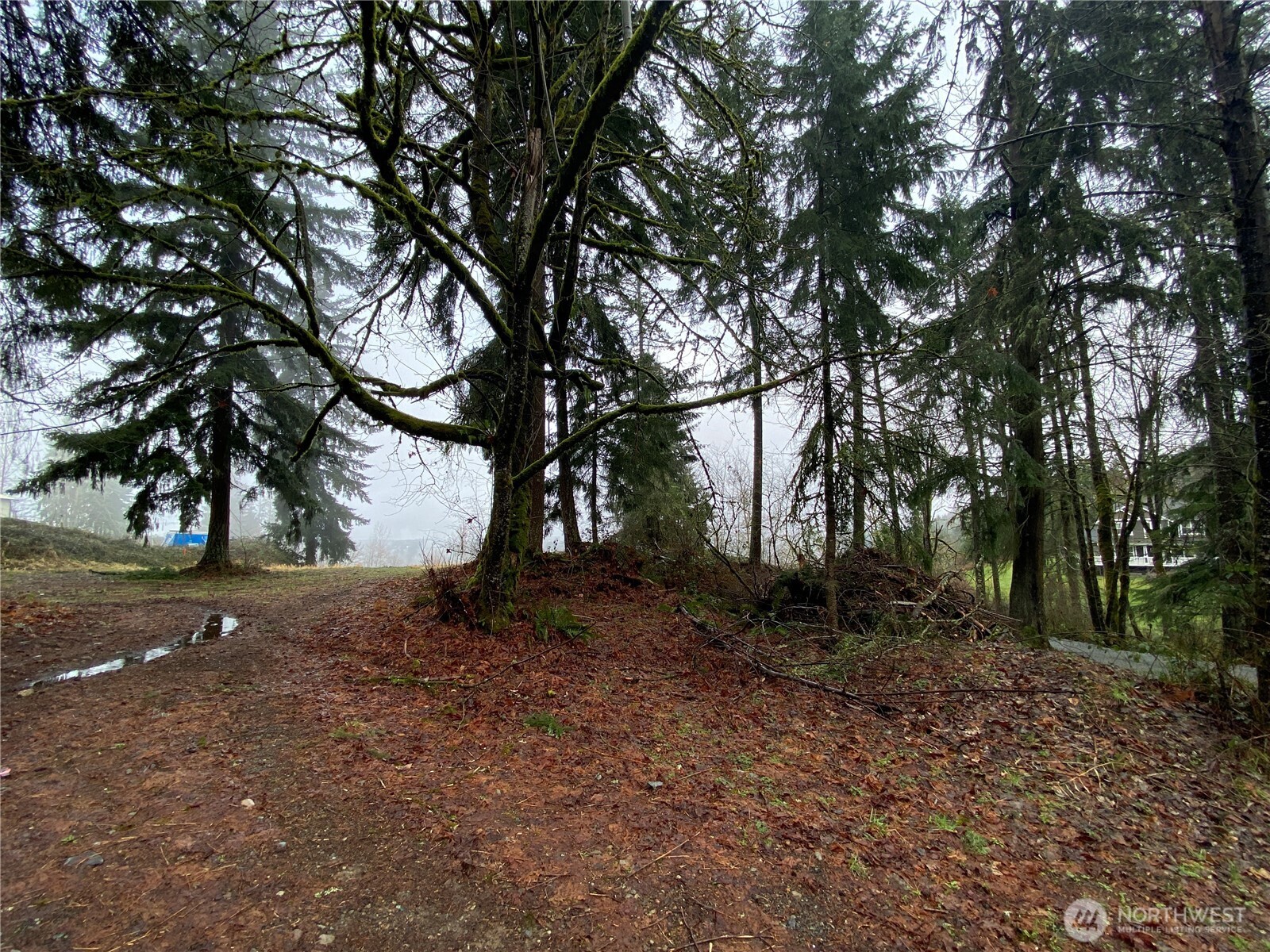 23705 144th Street E, Buckley, WA 98360