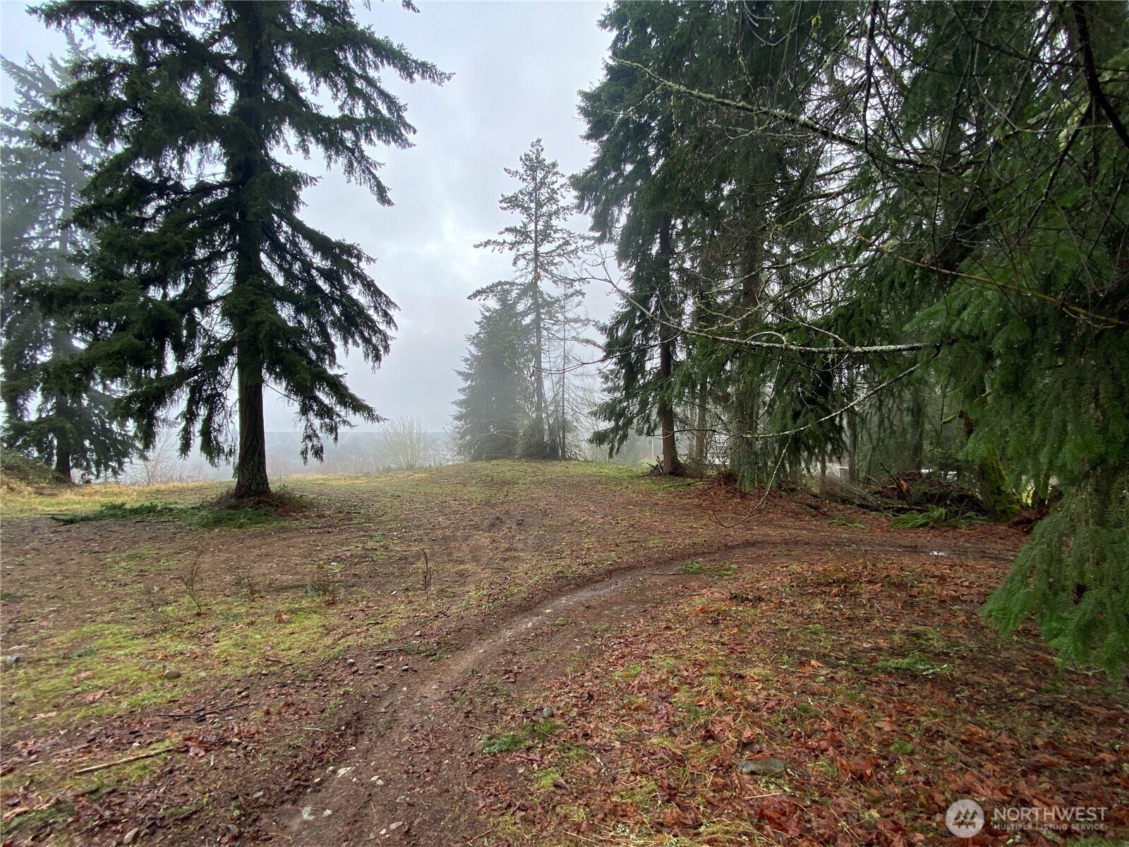23705 144th Street E, Buckley, WA 98360