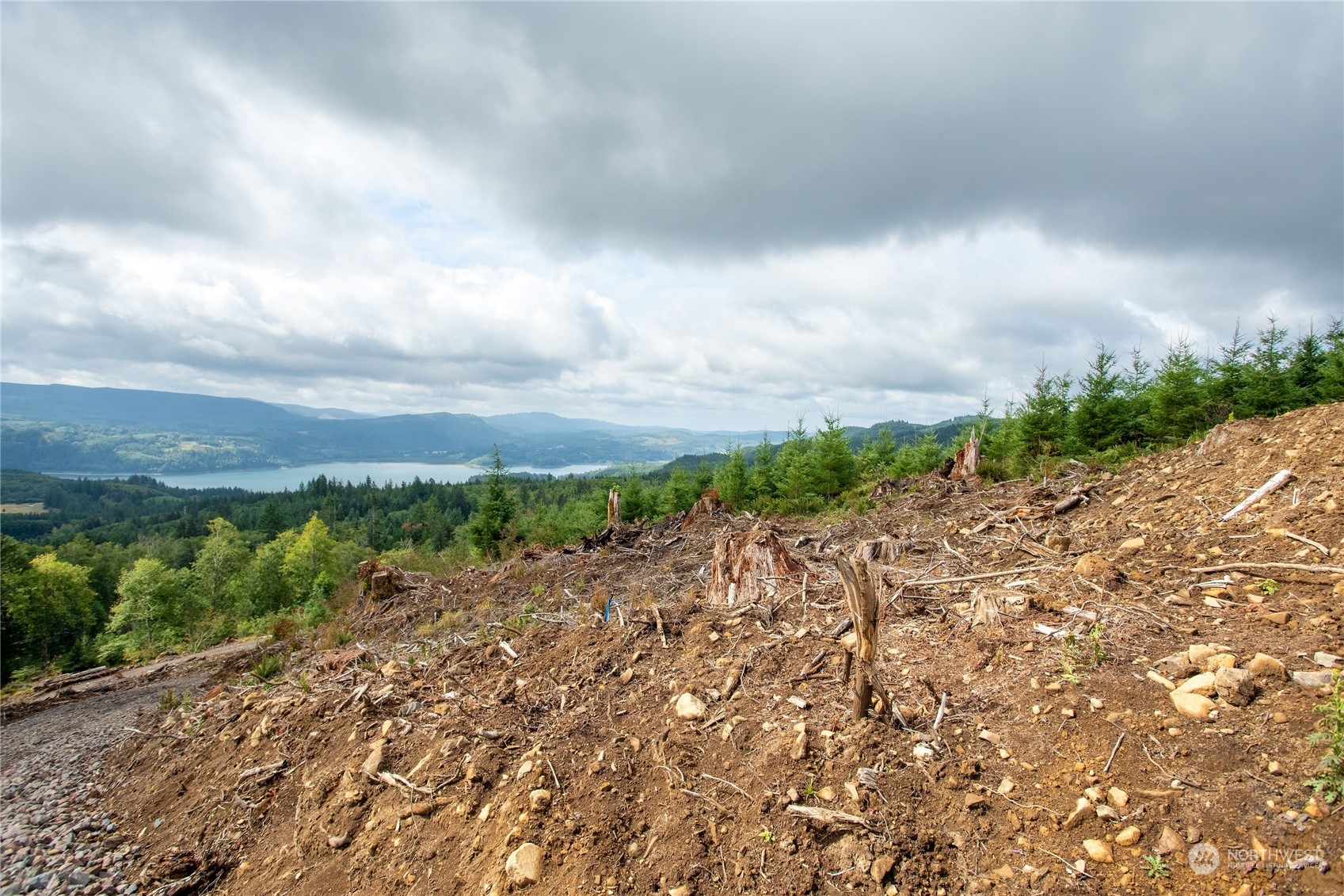 323 Short Road , Morton, WA 98356