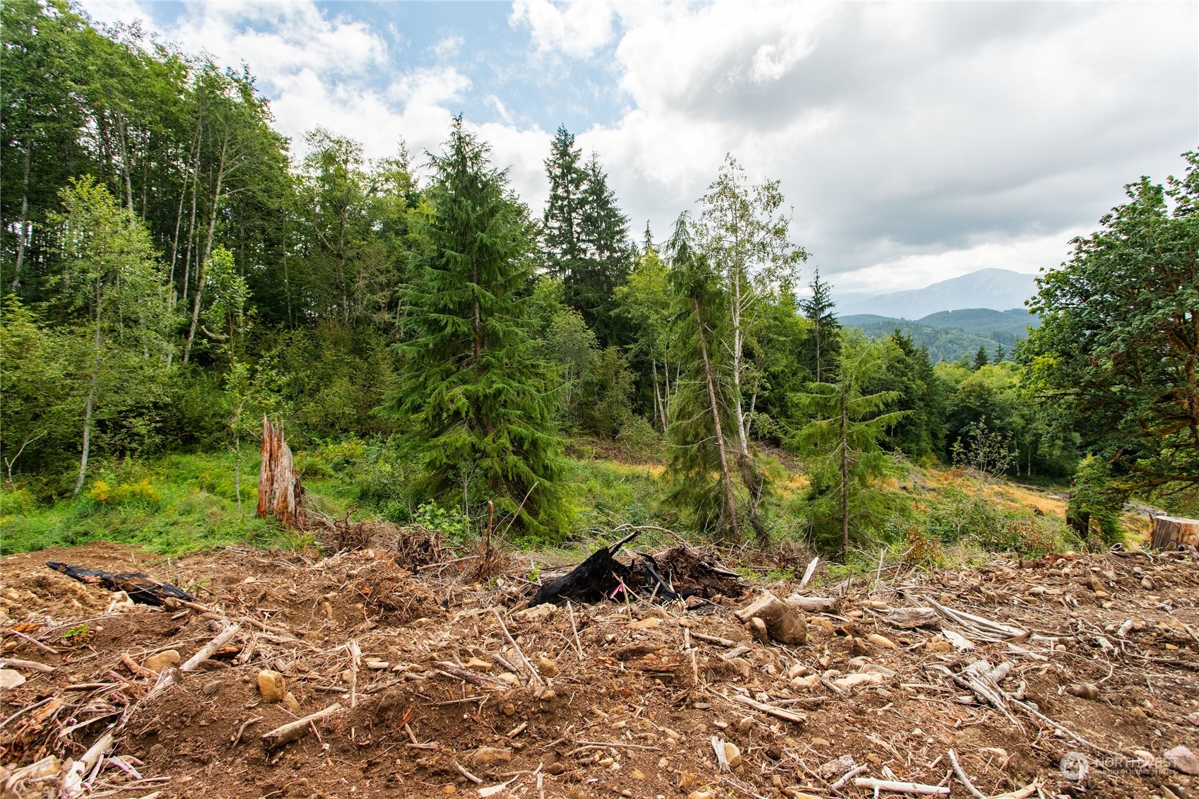 323 Short Road , Morton, WA 98356