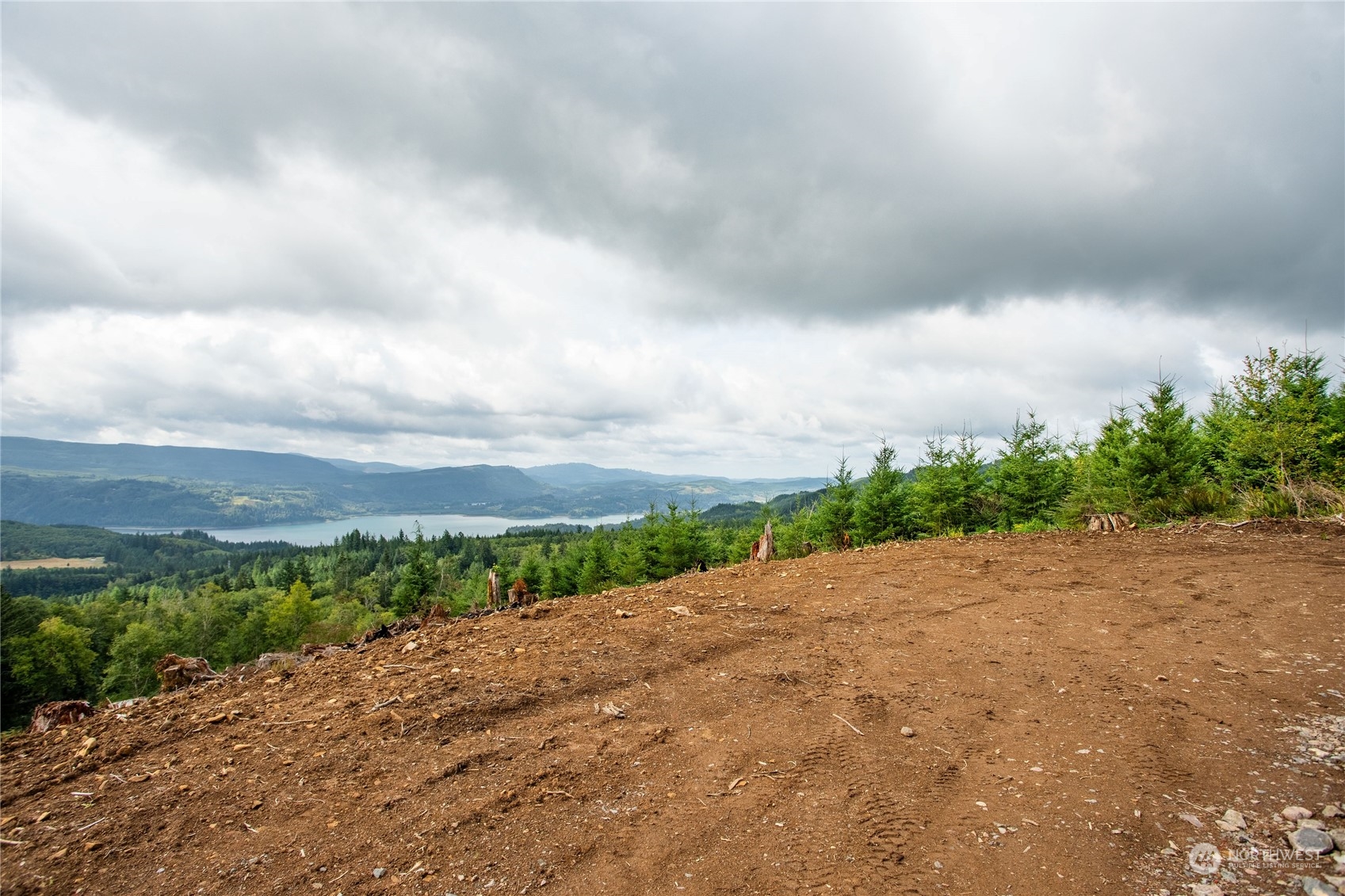 323 Short Road , Morton, WA 98356