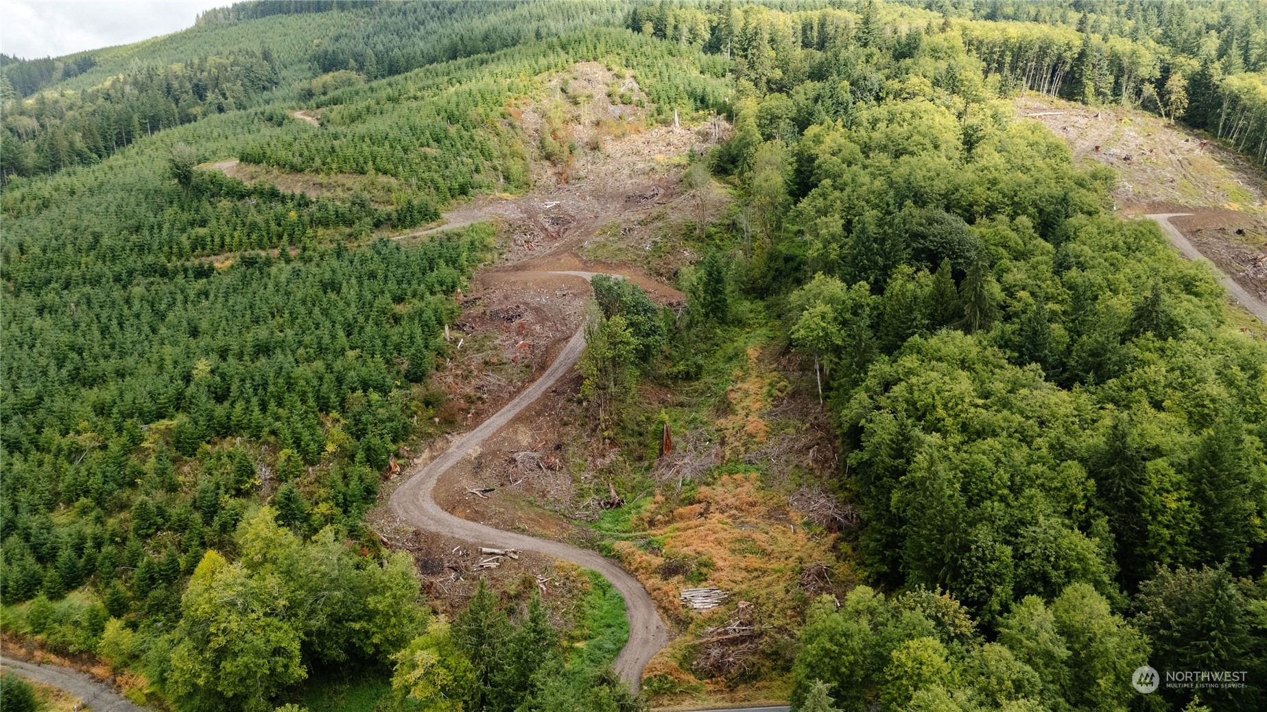 323 Short Road , Morton, WA 98356