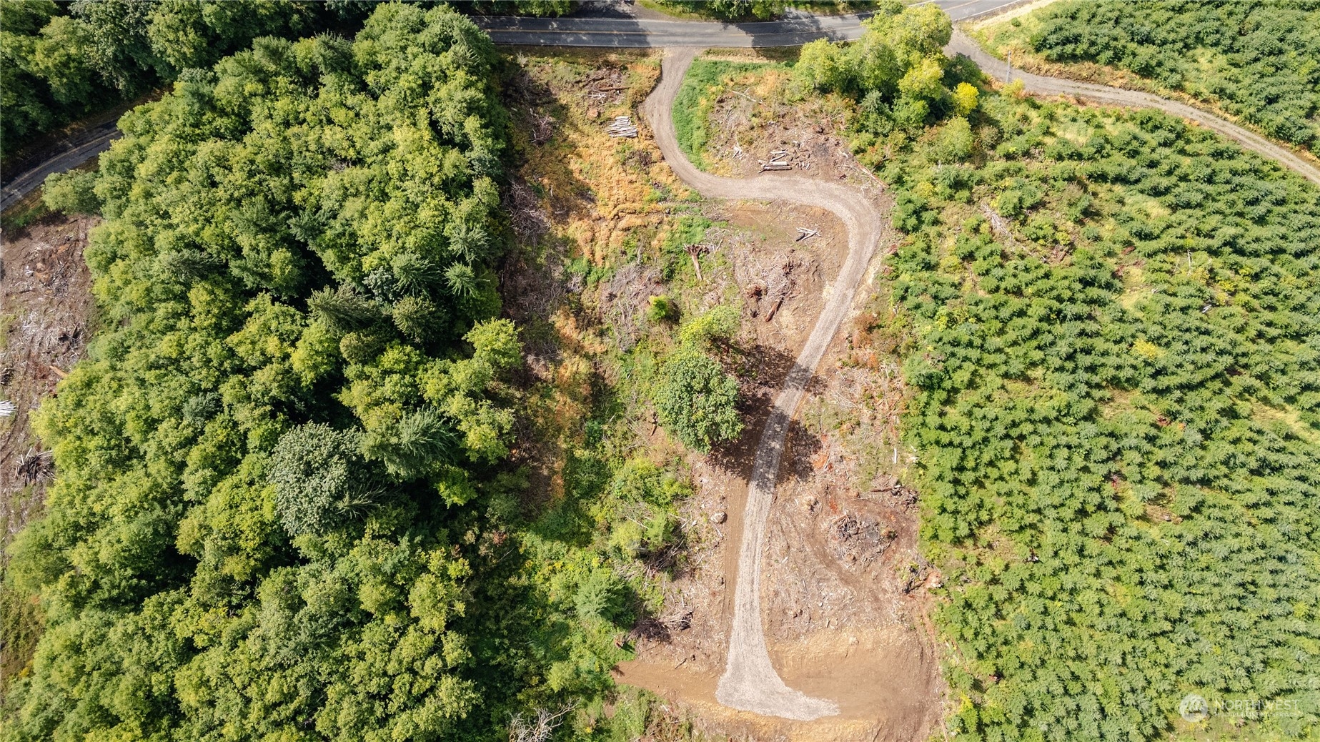 323 Short Road , Morton, WA 98356