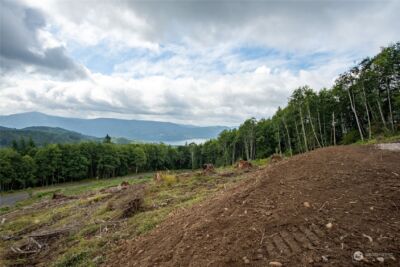 347 Short Road , Morton, WA 98356