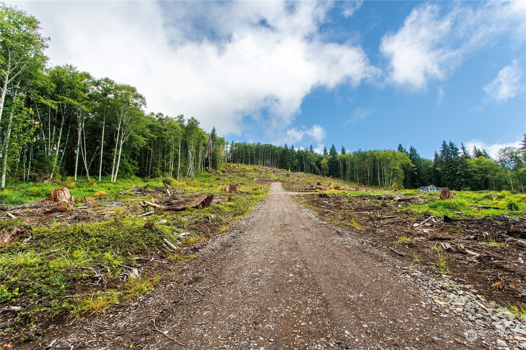 347 Short Road , Morton, WA 98356