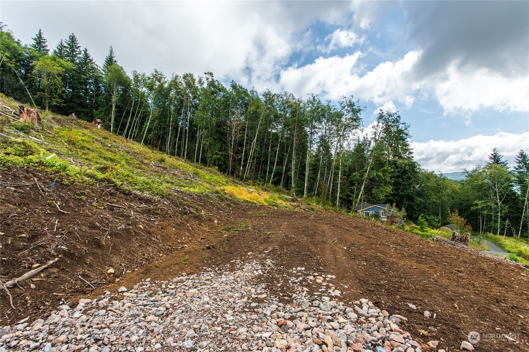 347 Short Road , Morton, WA 98356