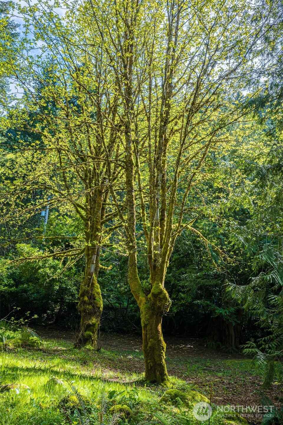 42 Storman Place , Port Angeles, WA 98363