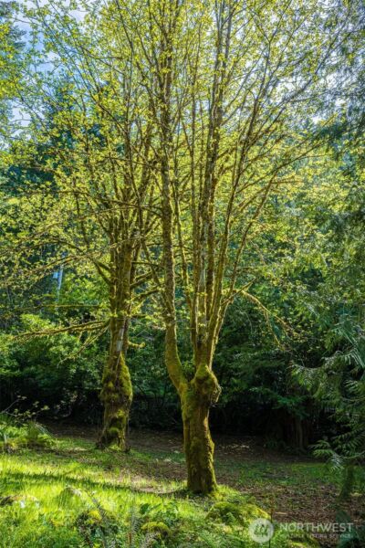 42 Storman Place , Port Angeles, WA 98363 - Photo 13